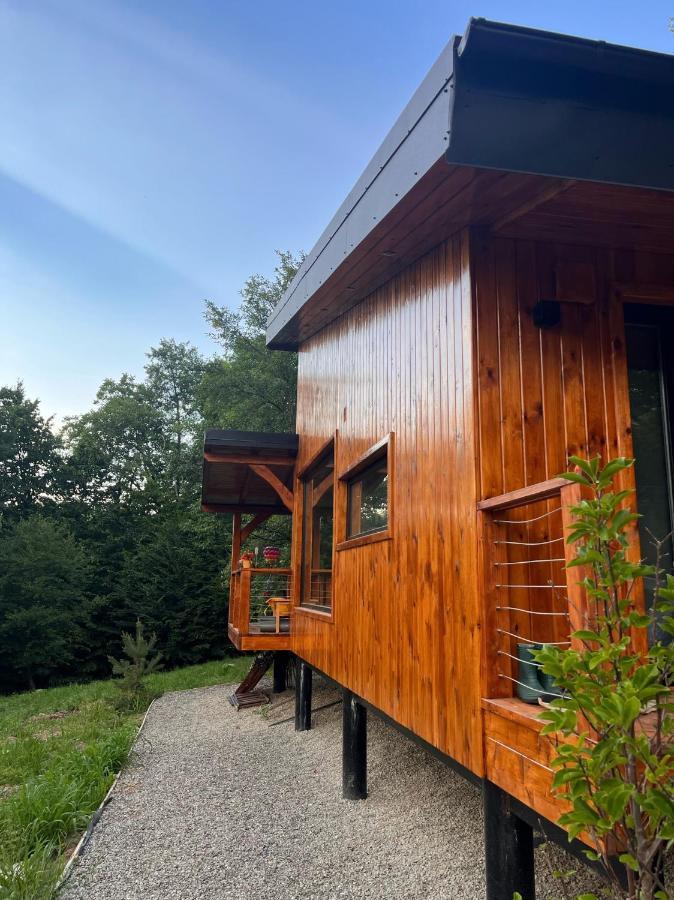 Moodysun Studio, Remote Tiny Home Comarnic Ngoại thất bức ảnh