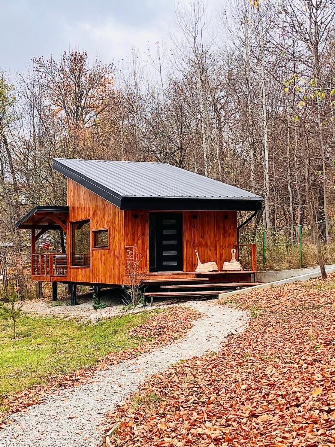 Moodysun Studio, Remote Tiny Home Comarnic Ngoại thất bức ảnh