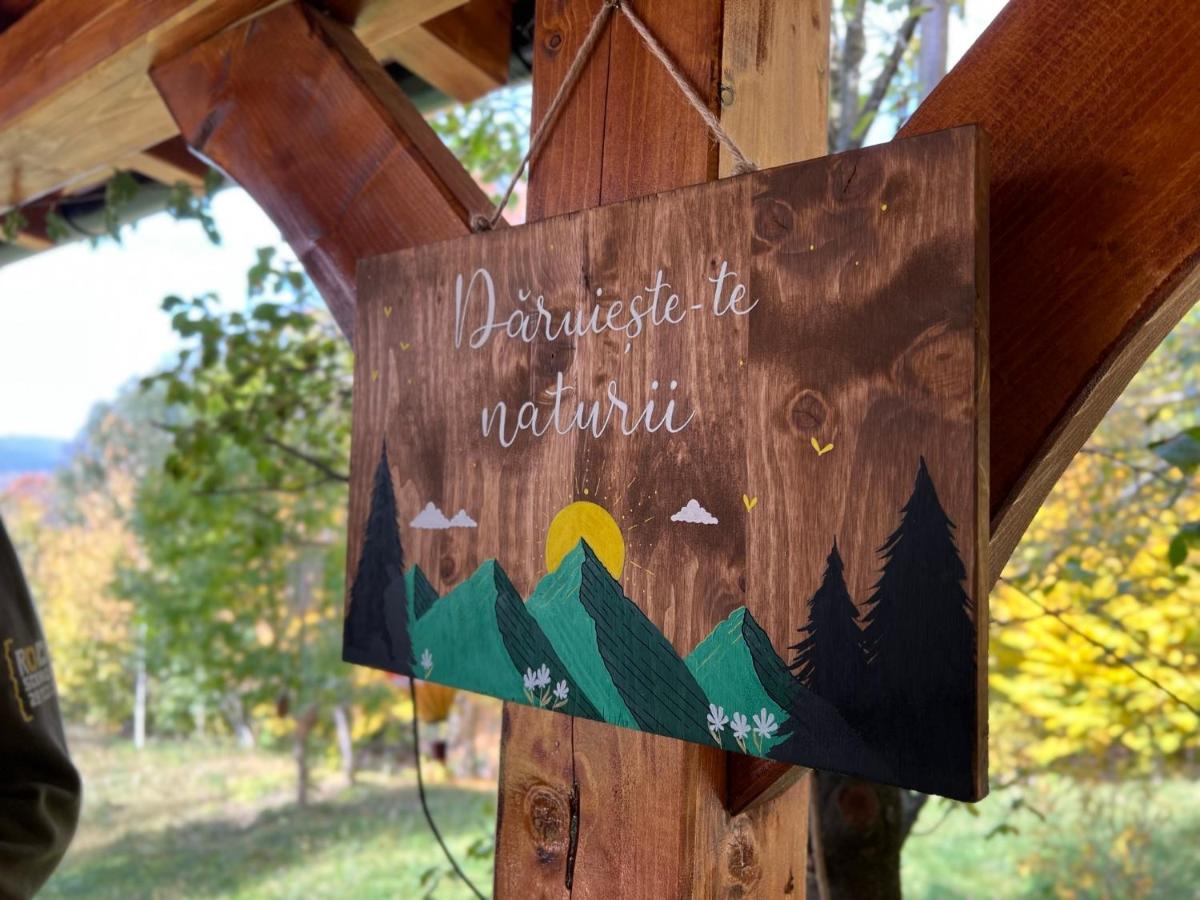 Moodysun Studio, Remote Tiny Home Comarnic Ngoại thất bức ảnh